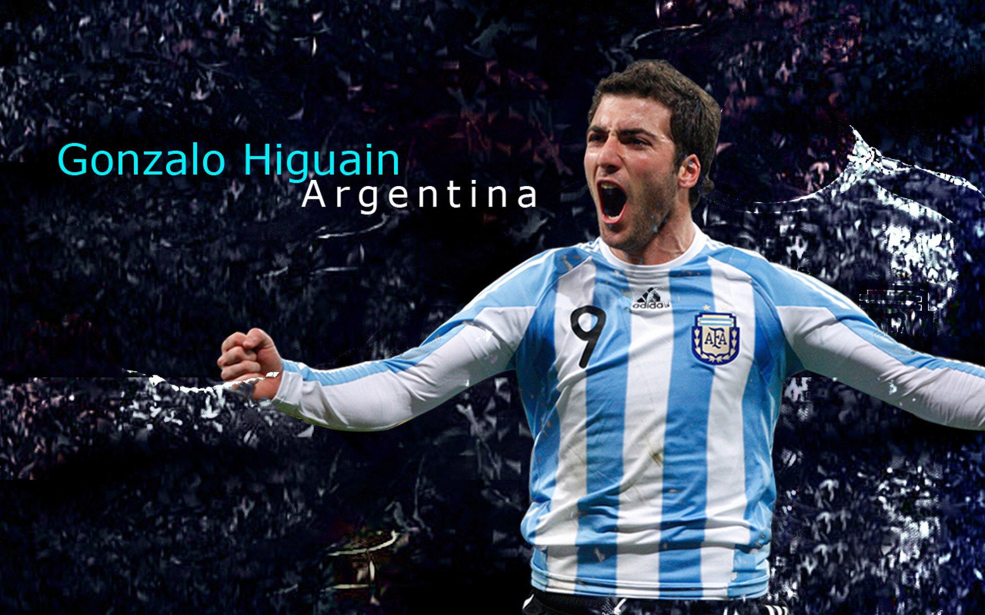 开云中国-伊朗骑手阿里·巴赫蒂亚里在巴黎奥运会后宣布退役，结束辉煌的职业生涯。