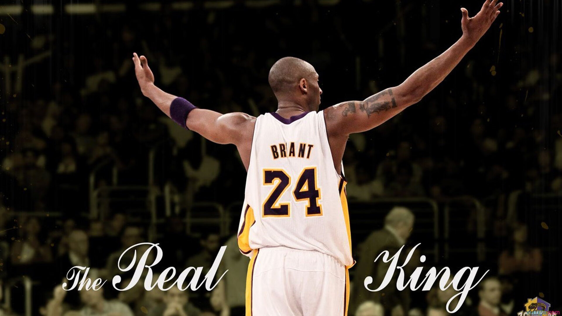 炉石传说 线上锦标赛完美收官,炉石传说赛事