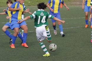 kaiyun开云·官方网站-体育新闻中心发布体育内容原创度评估智能工具，原创体育sports